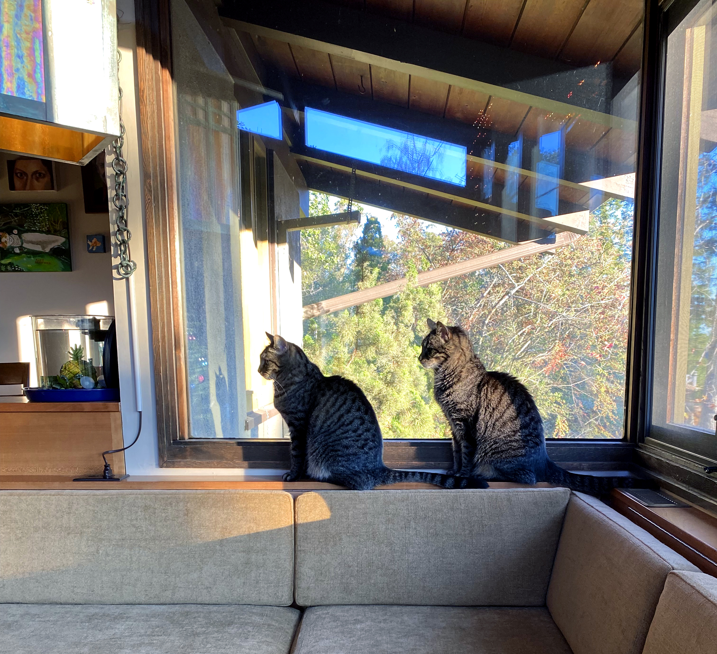 Two cats sit on a window sill