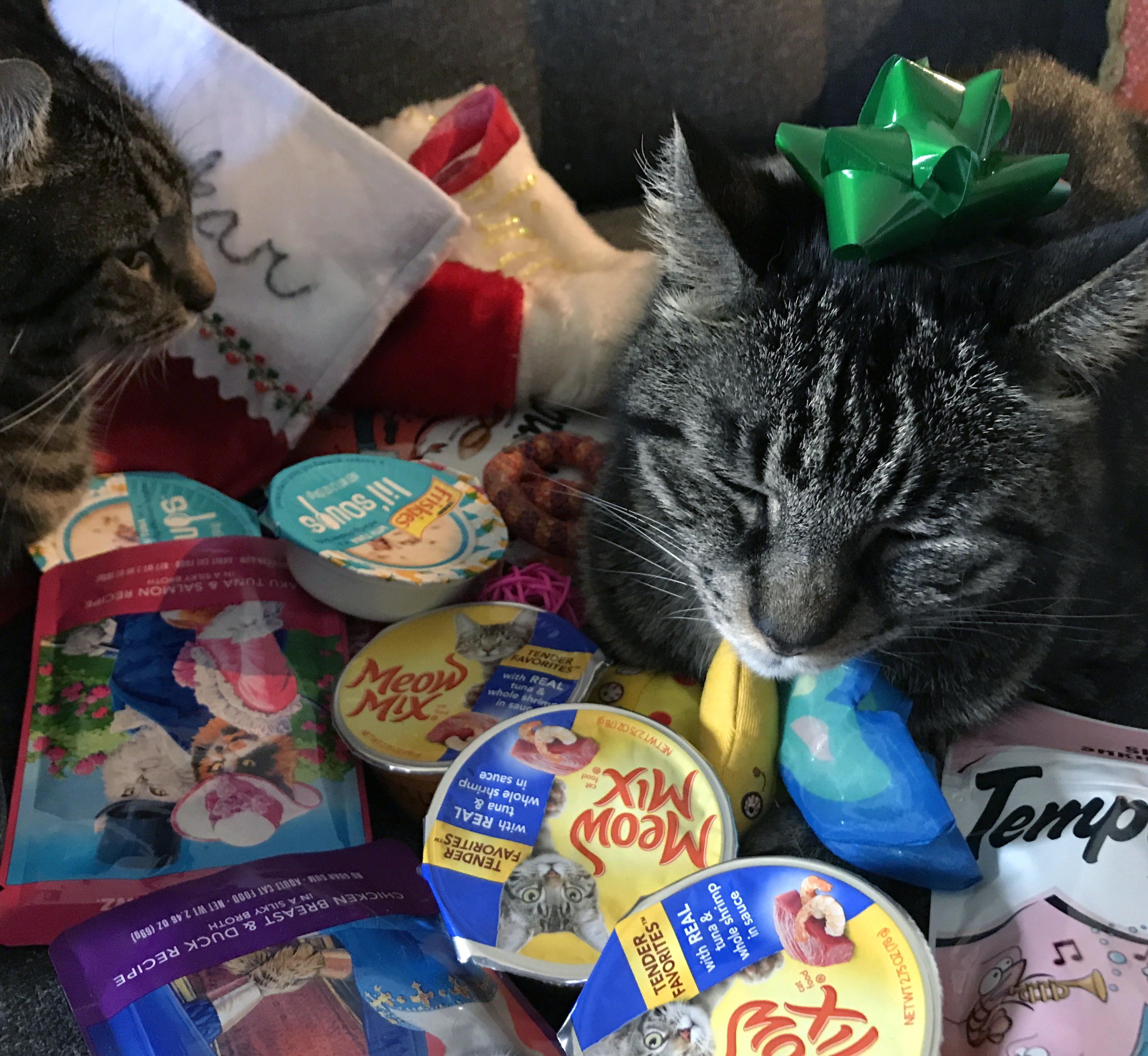 Two cats are surrounded by cat food