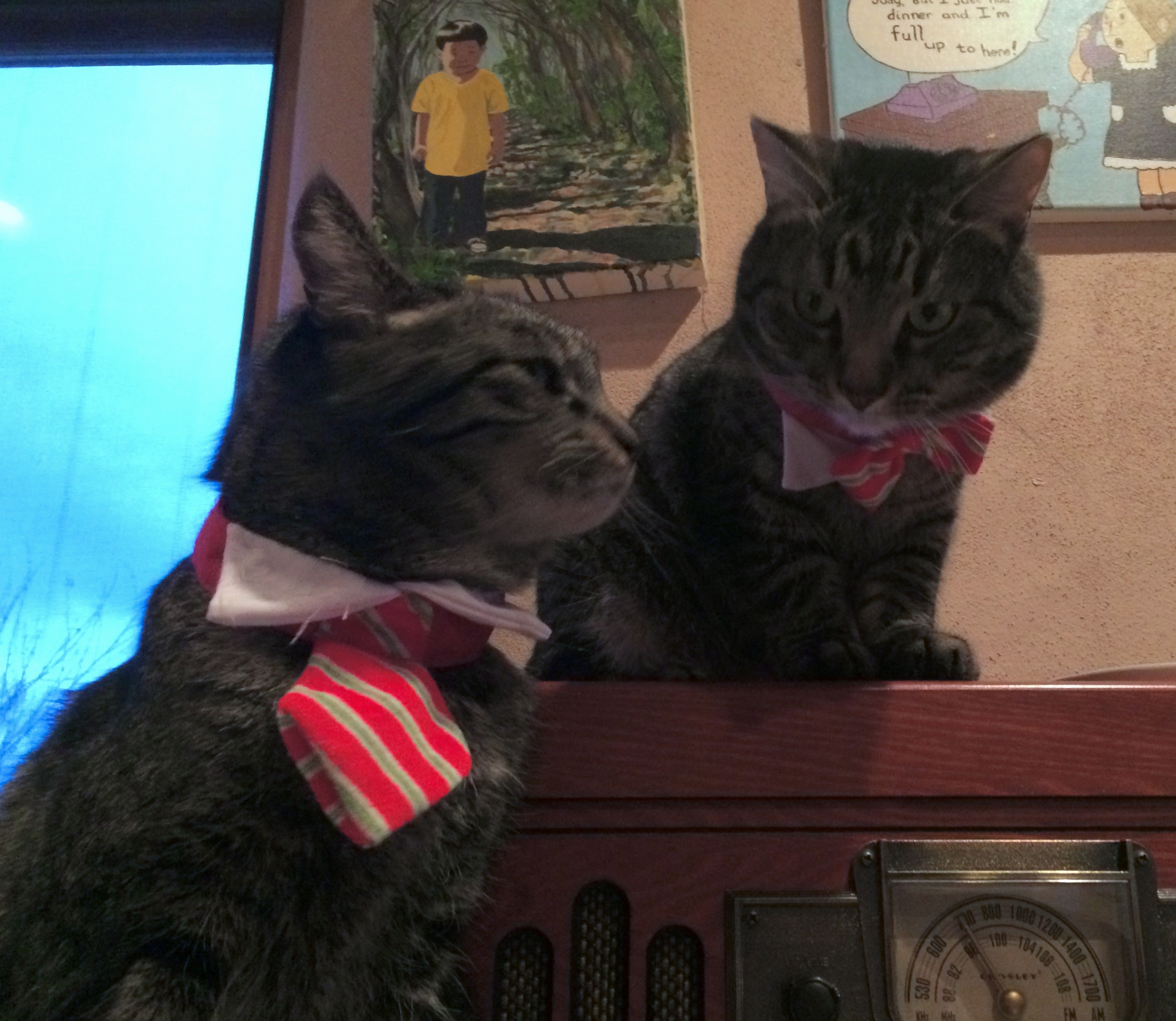 Two cats wearing neckties are staring at each other