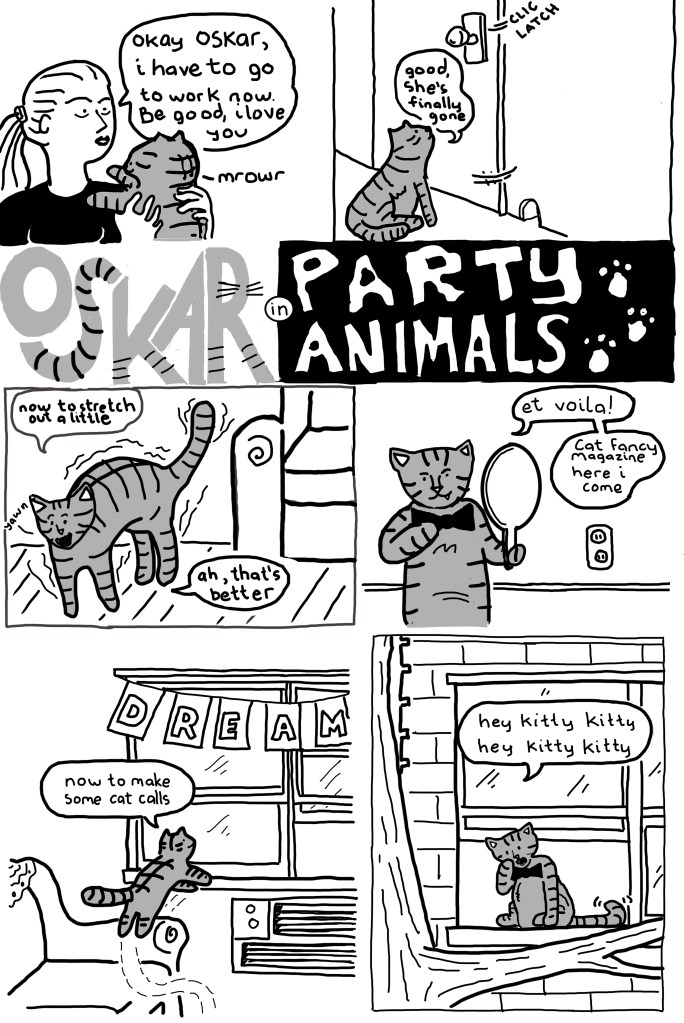 A cat is left alone in an apartment